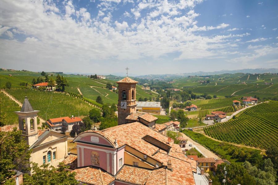 How I Fell in Love with Barolo: A First-Timer's Journey Through Wine Country