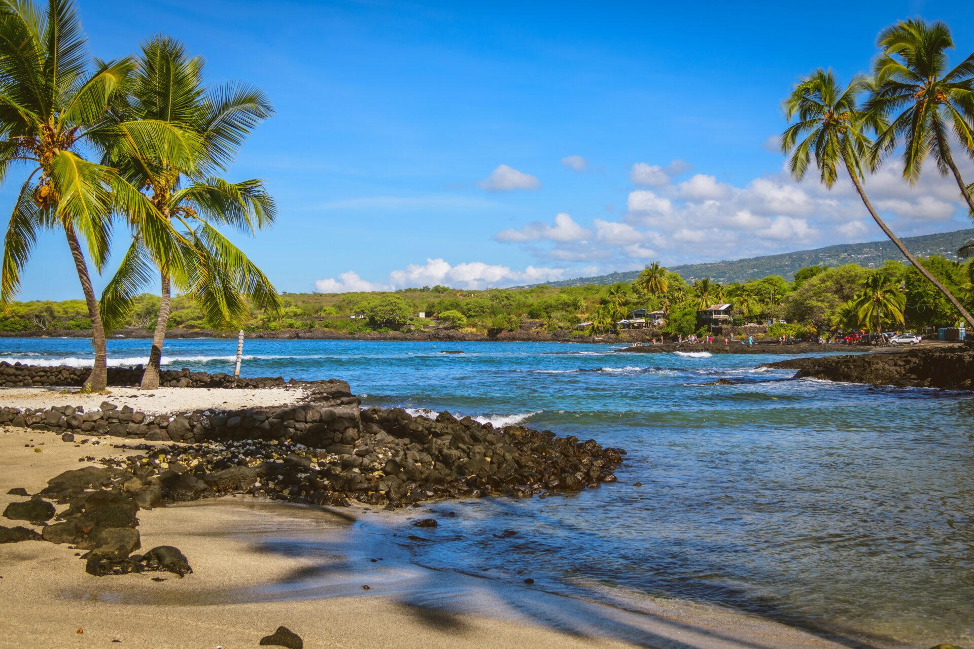 Tropical beach with palm trees, black lava rocks, and clear blue water on the Big Island of Hawaii.