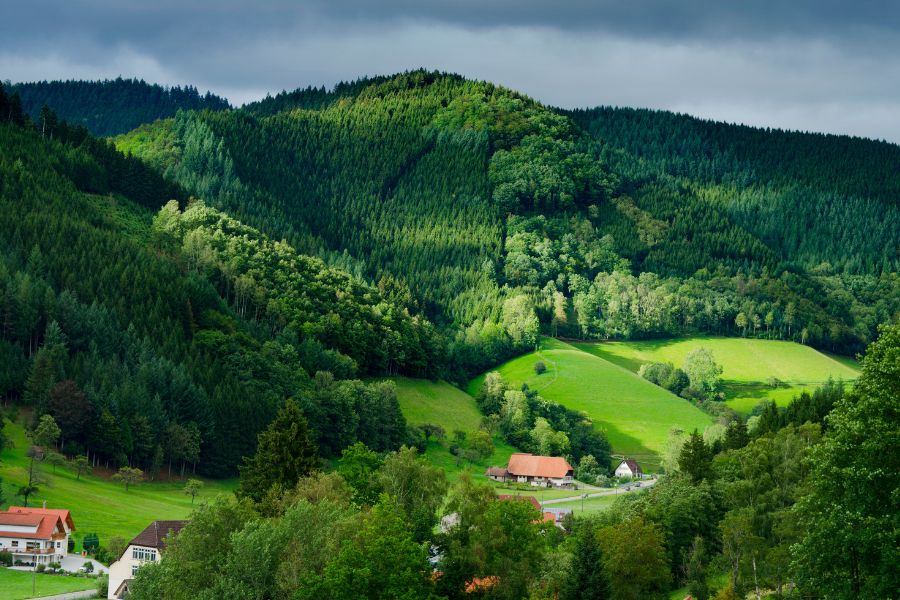 Why the Black Forest is Germany’s Best Nature Escape