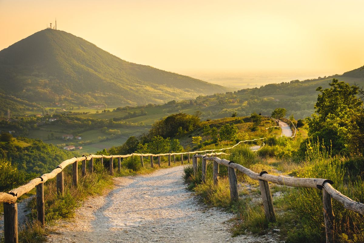 Scenic hiking trail in the Euganean Hills, Veneto, Italy, with rolling green landscapes, a mountain peak, and golden sunset light casting a warm glow.