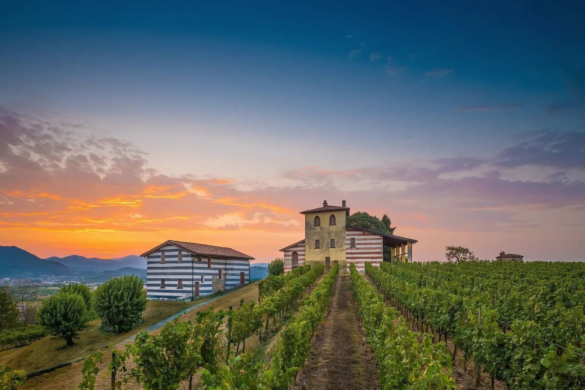 A picturesque vineyard at sunset with two rustic buildings featuring striped facades, surrounded by lush green grapevines. Rolling hills and a colorful sky with orange and purple hues create a breathtaking backdrop.