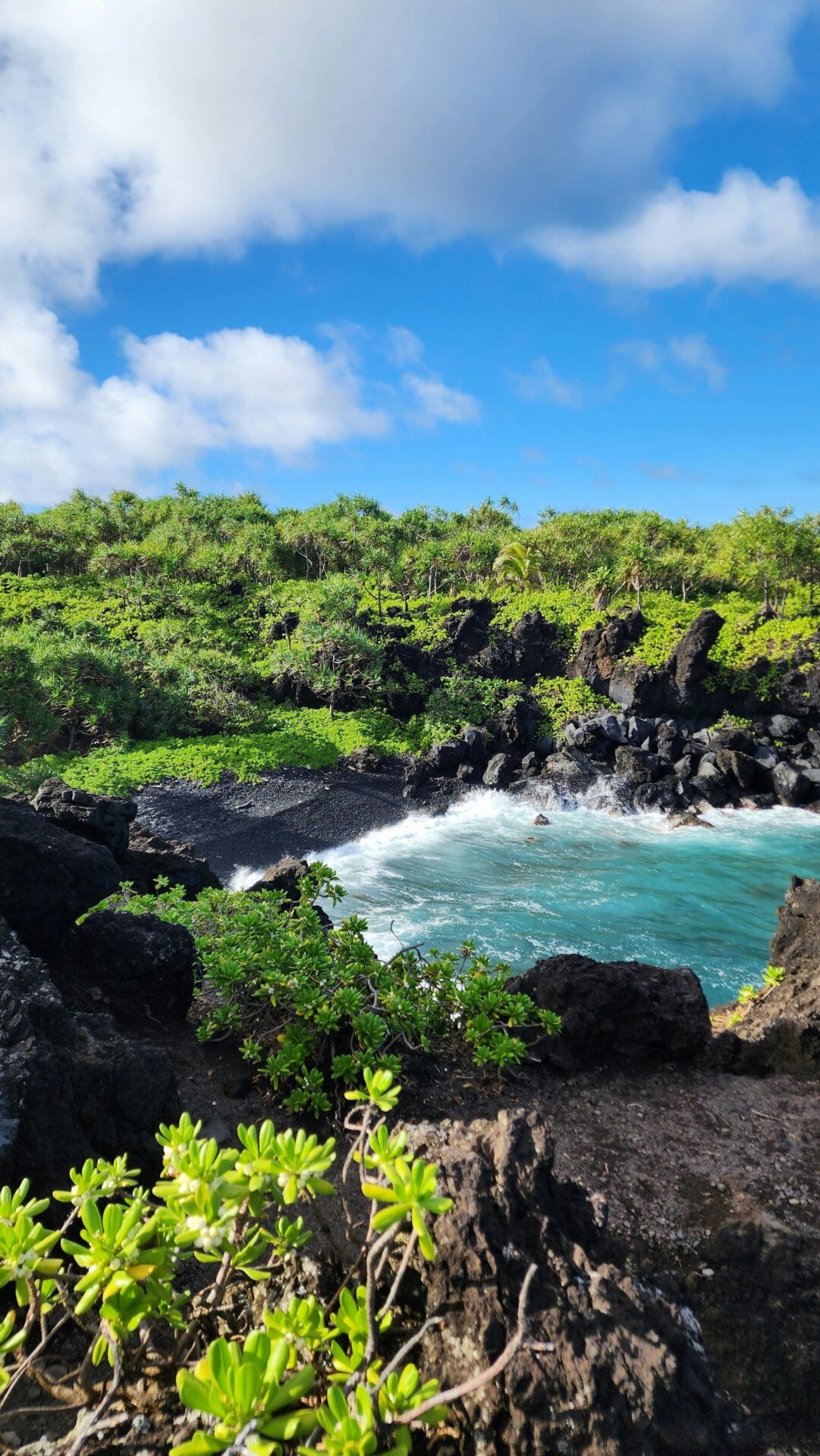 A view of Hawaii Volcanoes National Park
