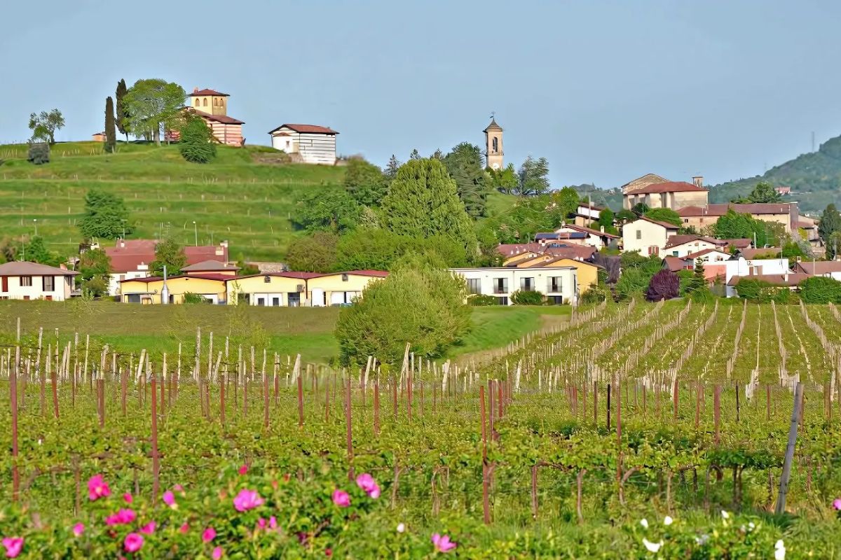 A scenic view of Franciacorta, showcasing rolling vineyards, charming houses, and historic architecture nestled among lush green hills. The picturesque landscape reflects the region’s deep-rooted winemaking tradition and serene countryside ambiance.