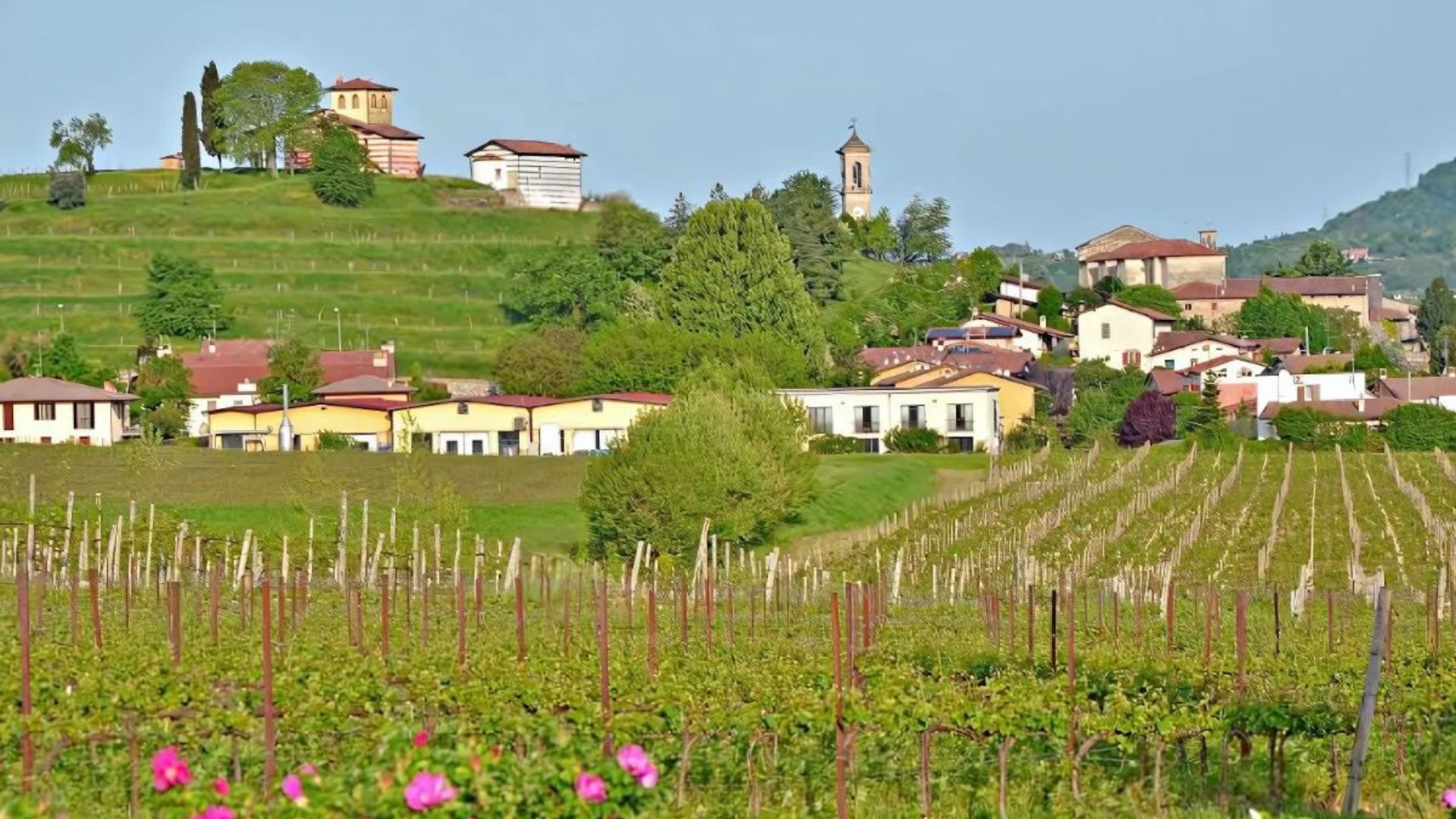 A scenic view of Franciacorta, showcasing rolling vineyards, charming houses, and historic architecture nestled among lush green hills. The picturesque landscape reflects the region’s deep-rooted winemaking tradition and serene countryside ambiance.