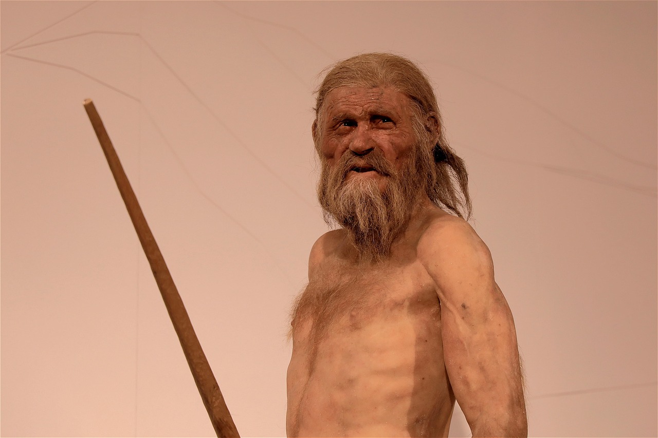 Ötzi iceman replica - glacier mummy from the Copper Age. Italy museum.