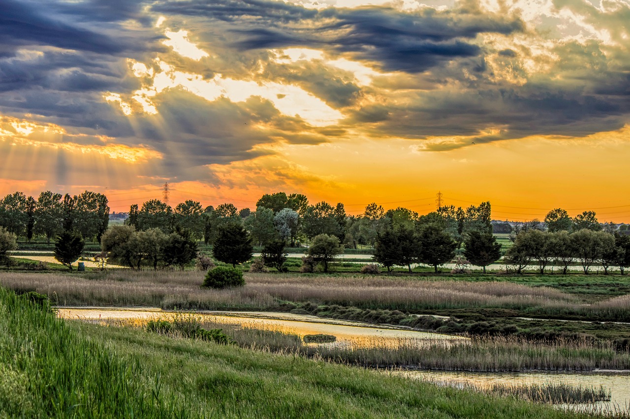 Po Delta Nature Reserve