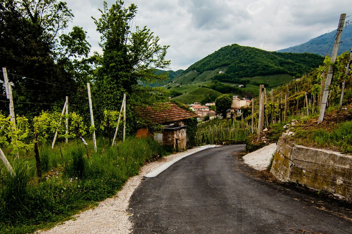 Winding road through the lush Prosecco Hills of Valdobbiadene and Conegliano, Italy, surrounded by vineyards and rolling green mountains
