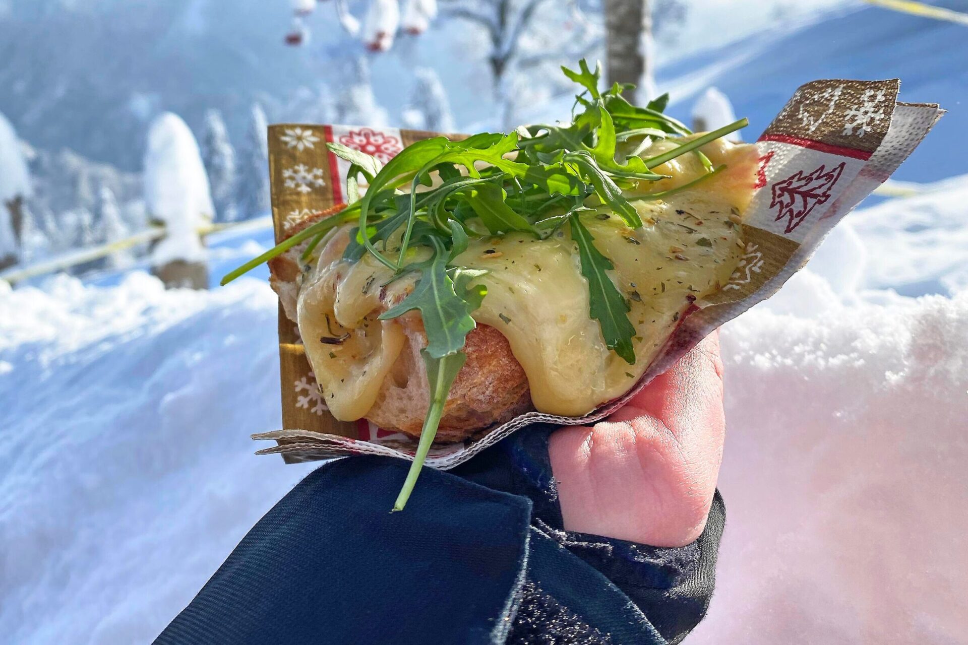 Bread with melted cheese and green herb on top - alpine food.