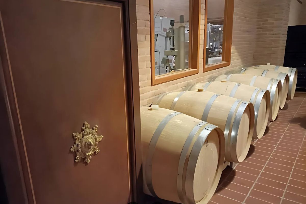 Wooden wine barrels lined up against a brick wall in a winery, with a wooden door and glass window reflecting equipment.
