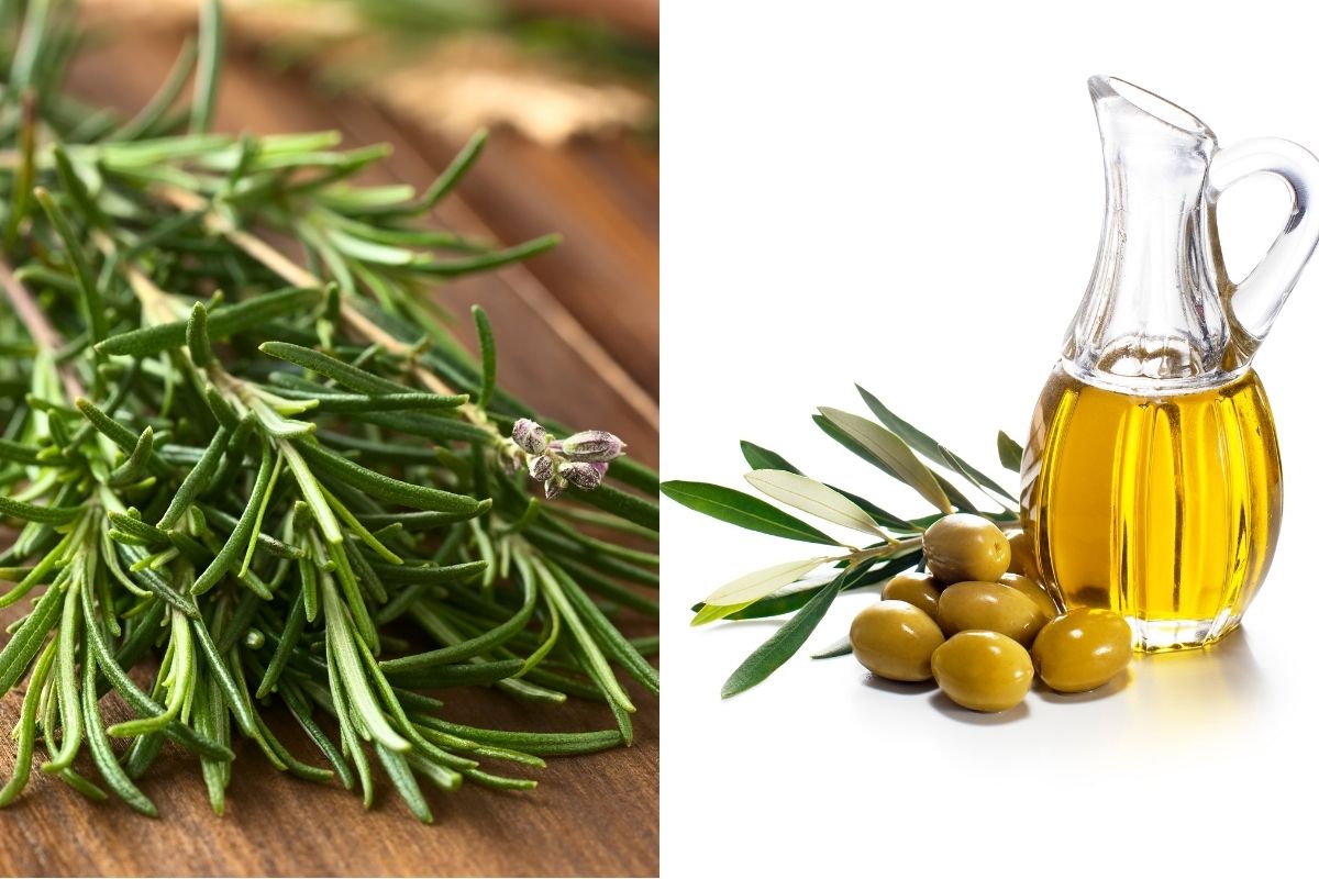 On the left side of the image, placed on a wooden surface is a bunch of fresh rosemary sprigs. The right half of the image shows a glass container filled with olive oil, accompanied by a few olives and olive leaves