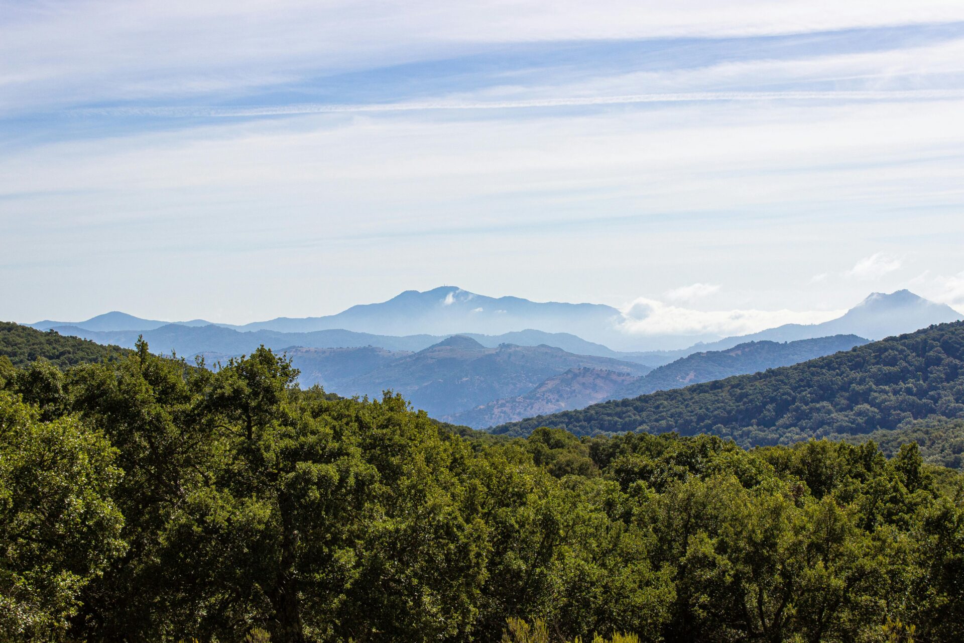 Sierra de Grazalema, Ronda, Spain