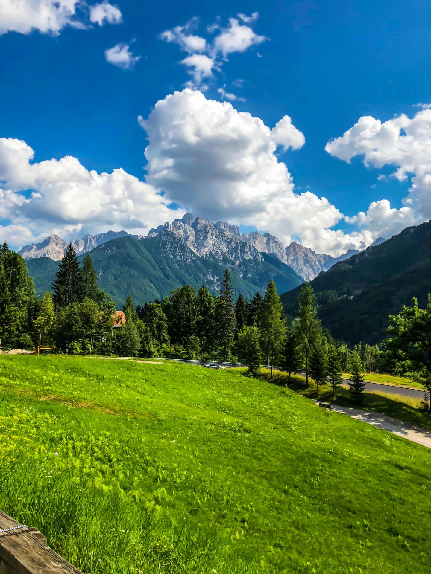 Scenic landscape of Triglav National Park featuring lush forests, winding rivers, and the majestic Julian Alps in the background.