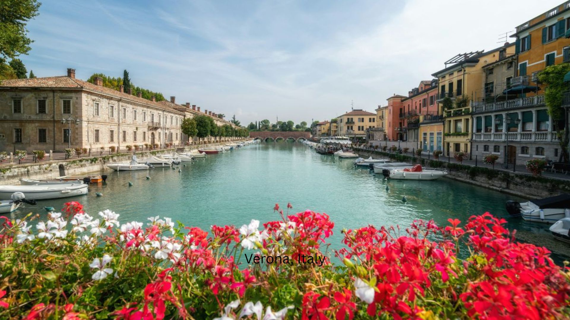 Scenic canal in Verona, Italy, lined with colorful buildings and moored boats, framed by vibrant red and white flowers in the foreground