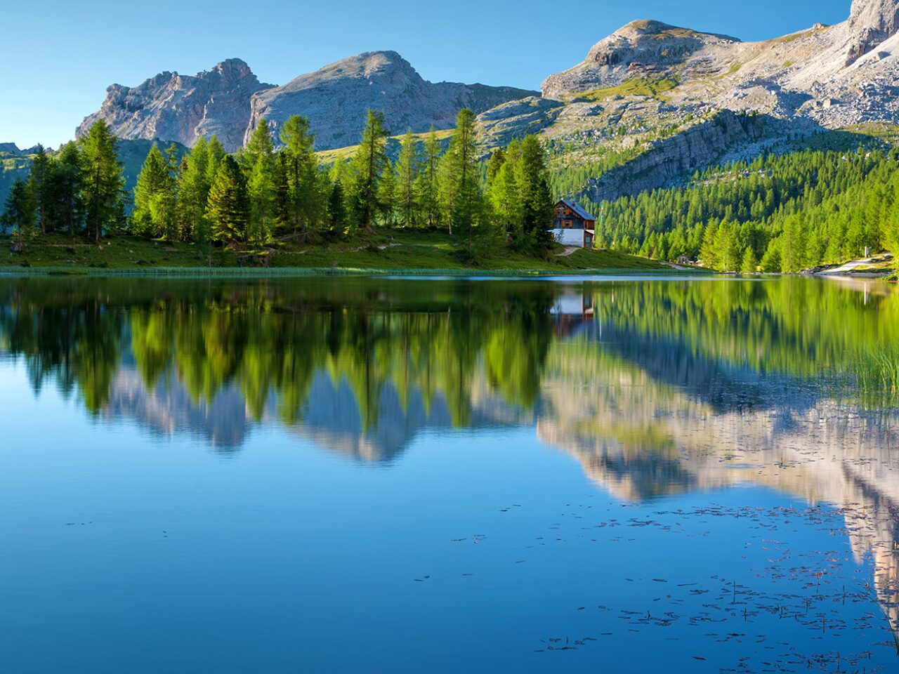 A serene lake with vibrant green pine trees and valley or mountain
