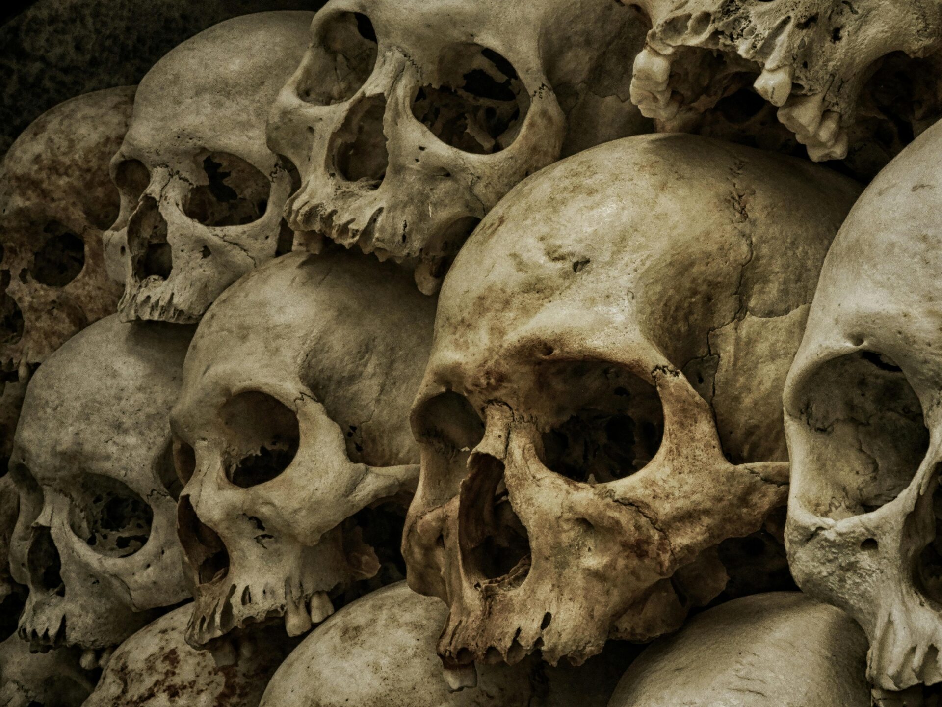 A pile of human skulls
