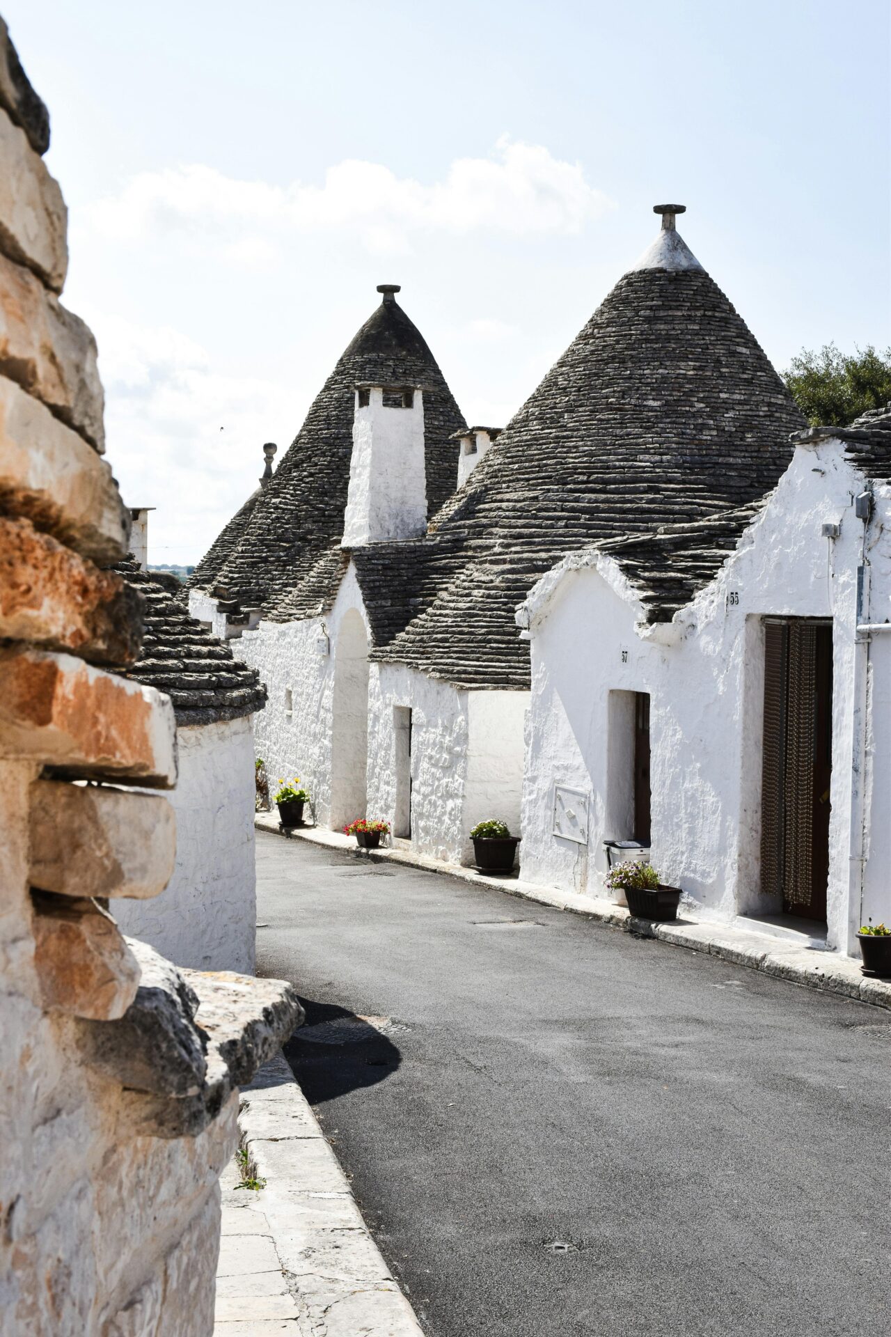 Row of iconic trulli houses in Alberobello, featuring white stone walls, conical rooftops, and flower pots lining a sunlit cobblestone pathway