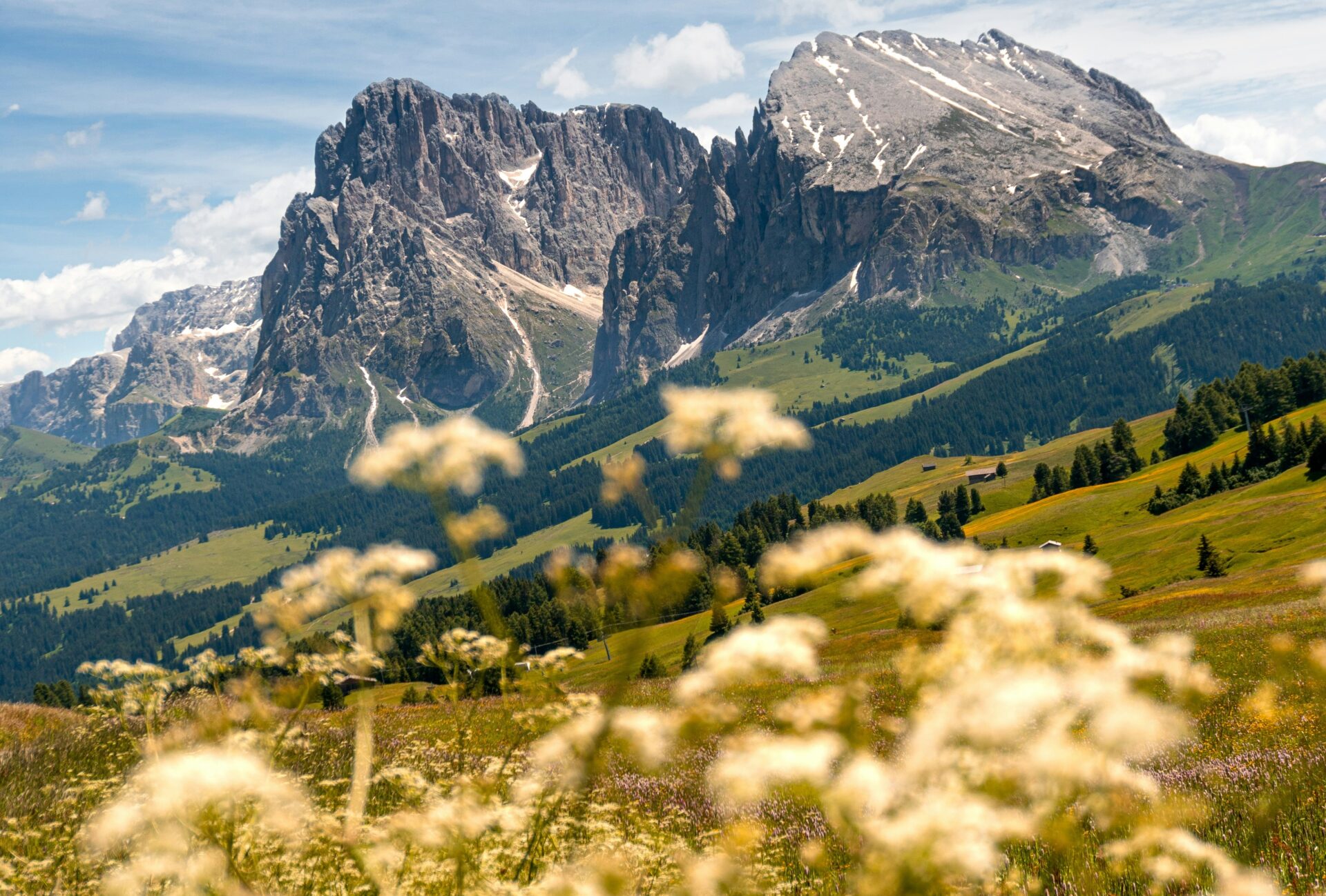 Alpe di Siusi (Seiser Alm) Italy in summer.