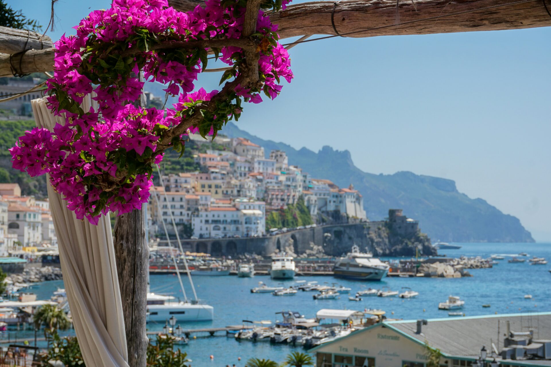 View of colorful Amalfi town and marina framed by pink flowers, Amalfi Coast, Italy.