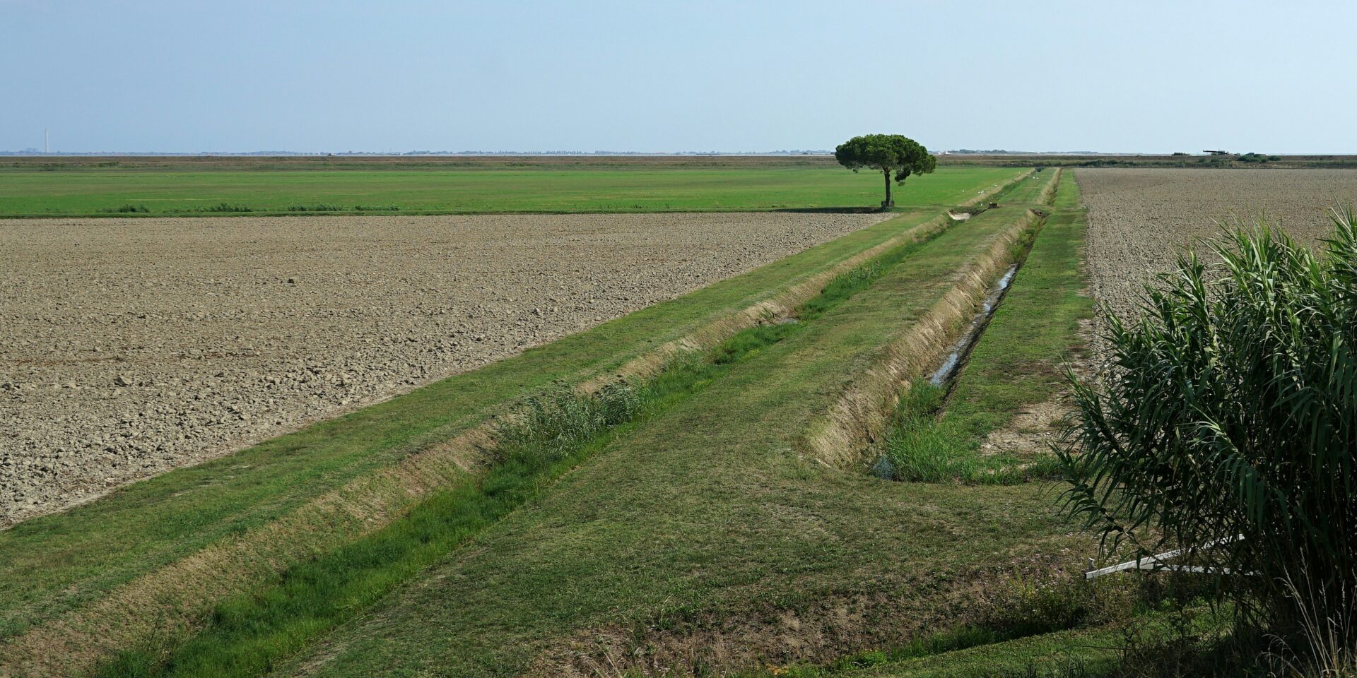 Anello della Donzella 7 - Delta del Po