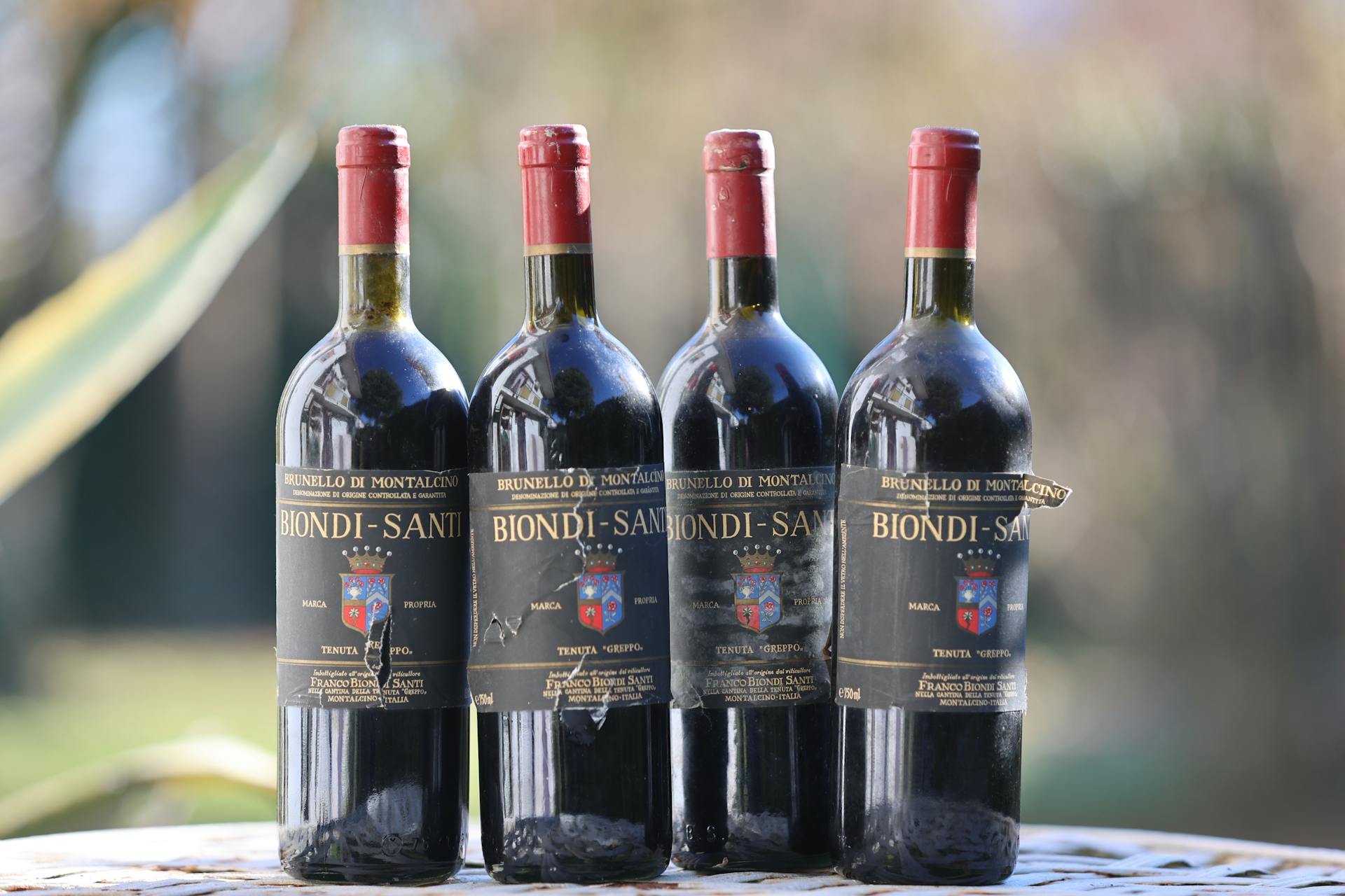 Brunello di Montalcino