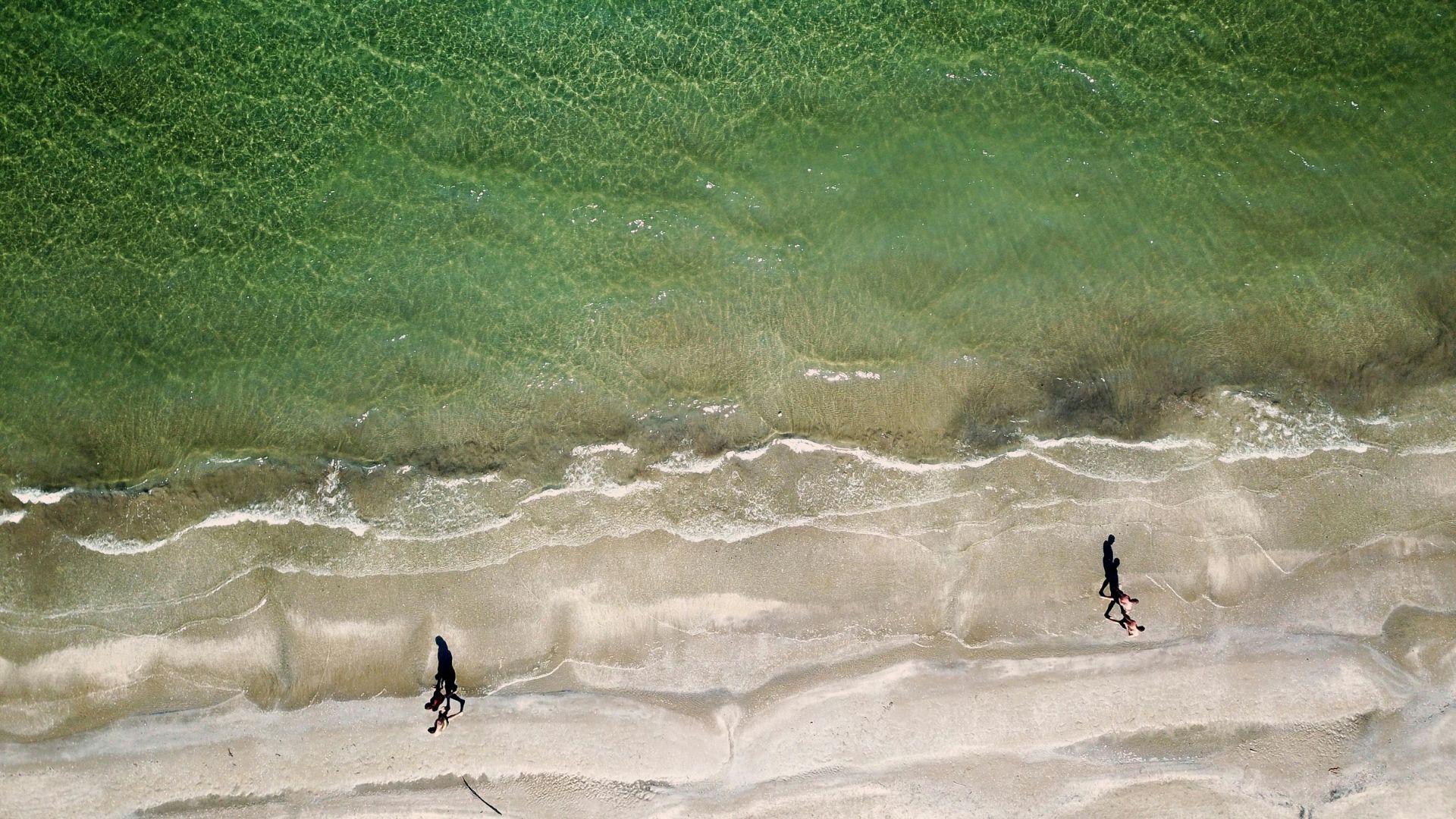 Drone shot of people walking on the shore of a beach in Cervia, Italy