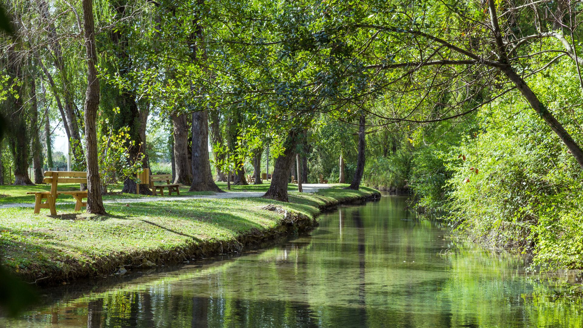 Image of crystal clear spring water, lush greenery, and tranquil atmosphere of Clitunno in Umbria.