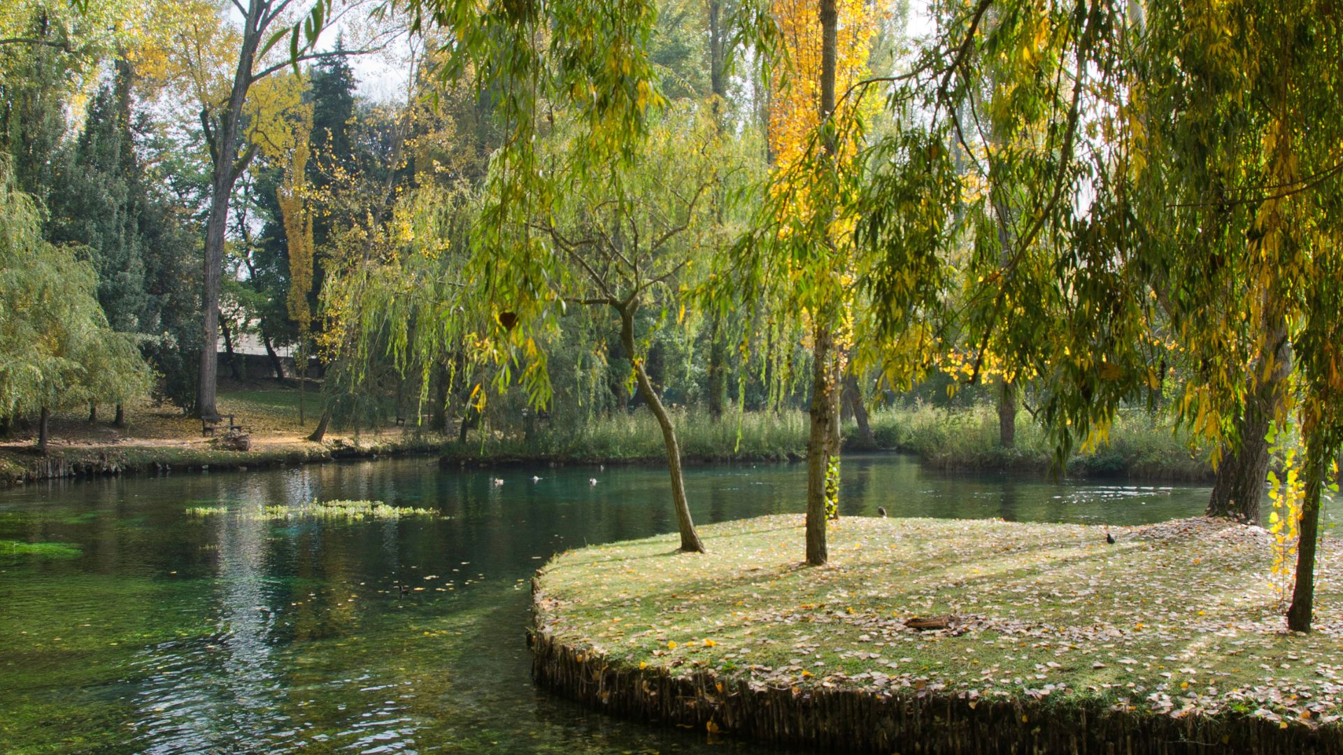 Image of crystal clear spring water, lush greenery, and tranquil atmosphere of Clitunno in Umbria.