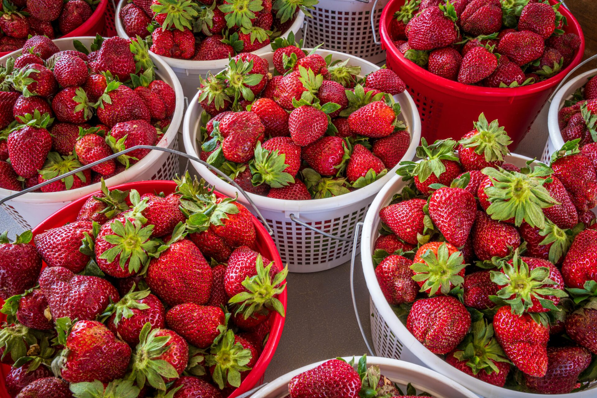 Close Up Photo of Strawberries in Baskets