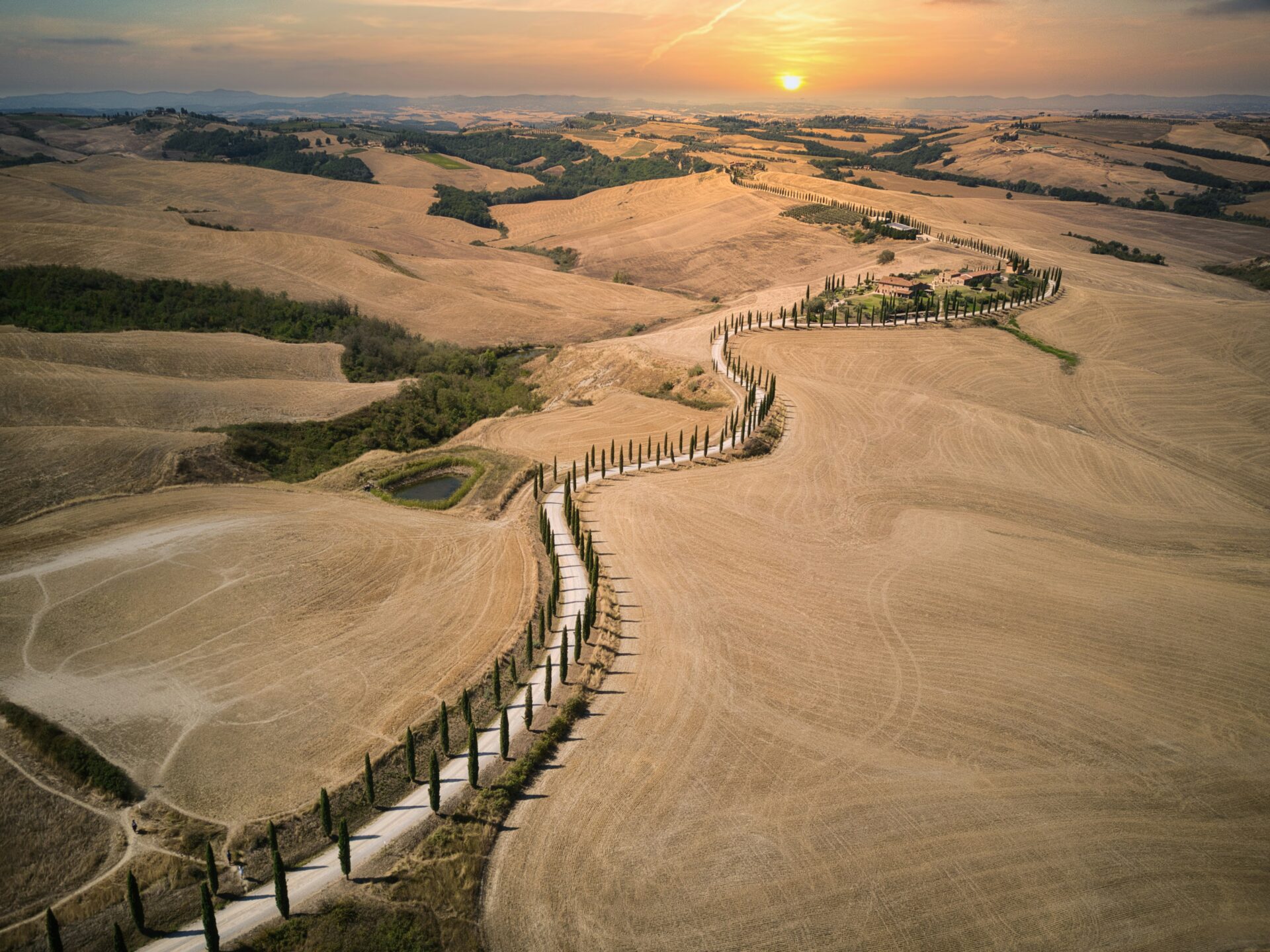 Cypress-lined road in Tuscany