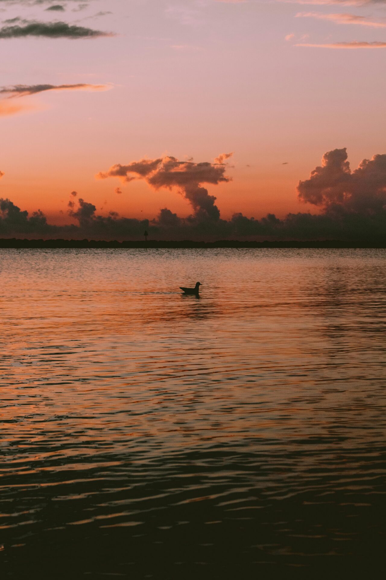 A breathtaking sunset over the sea in Emilia-Romagna, Italy