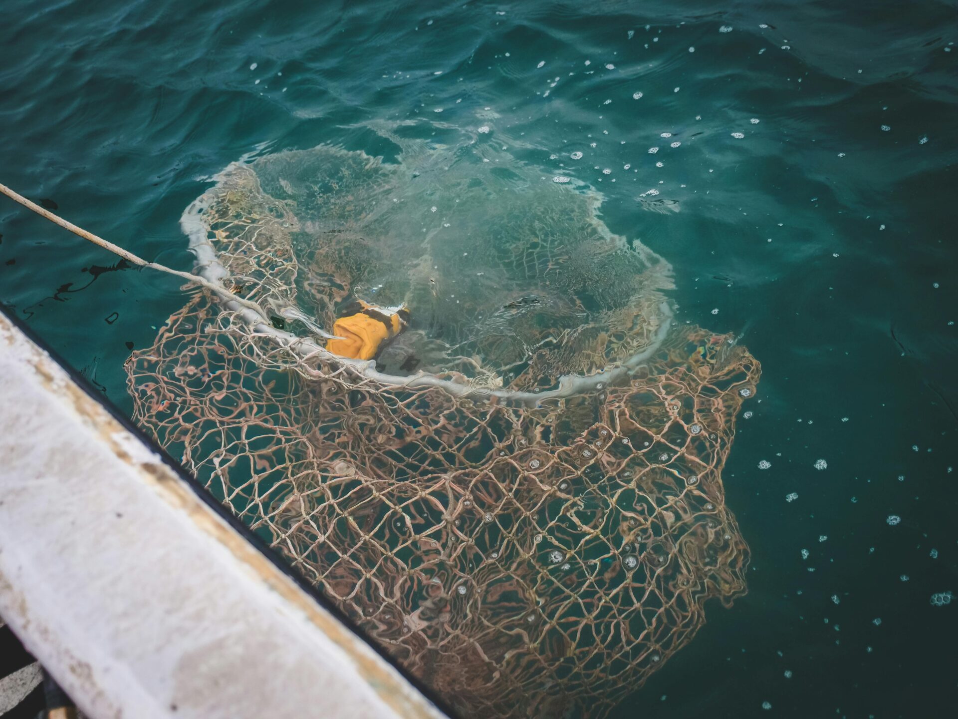 Fish Trap in Water - fishing net