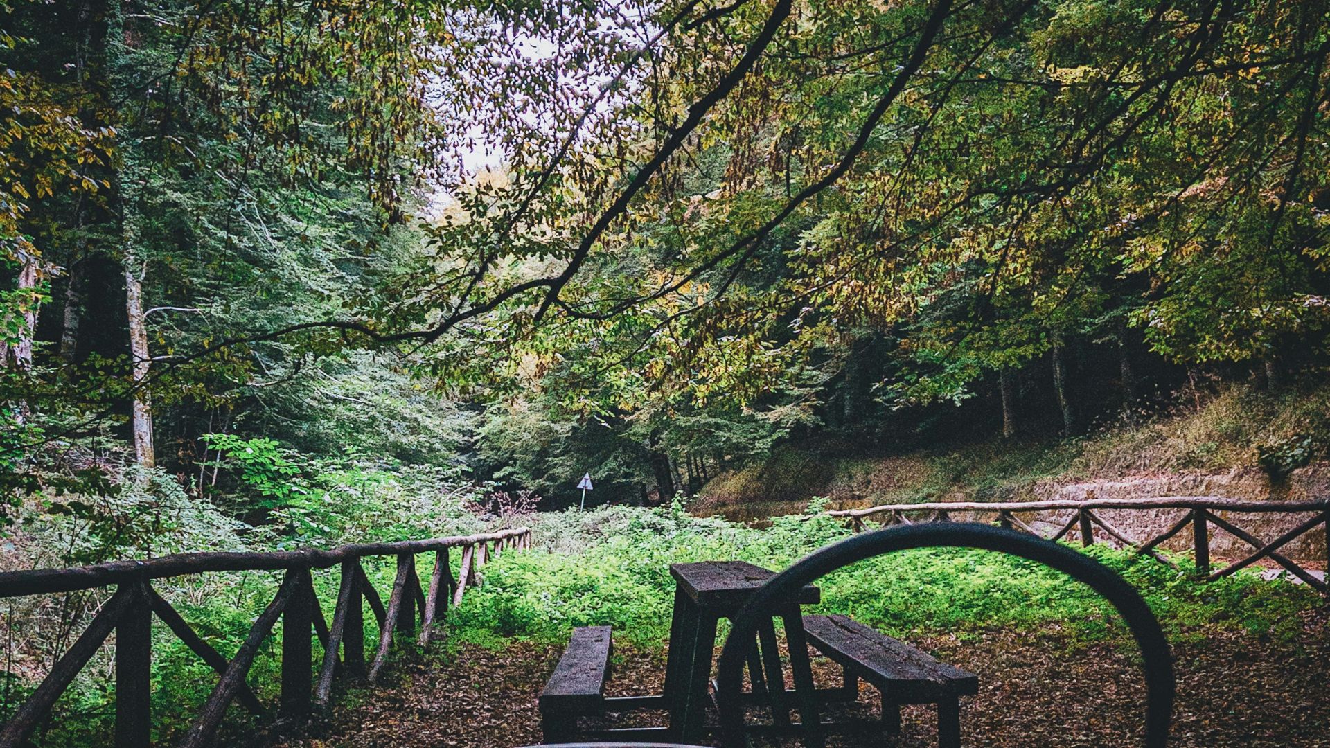The image shows the serene Foresta Umbra (Vico del Gargano, Italia) with a picnic area.