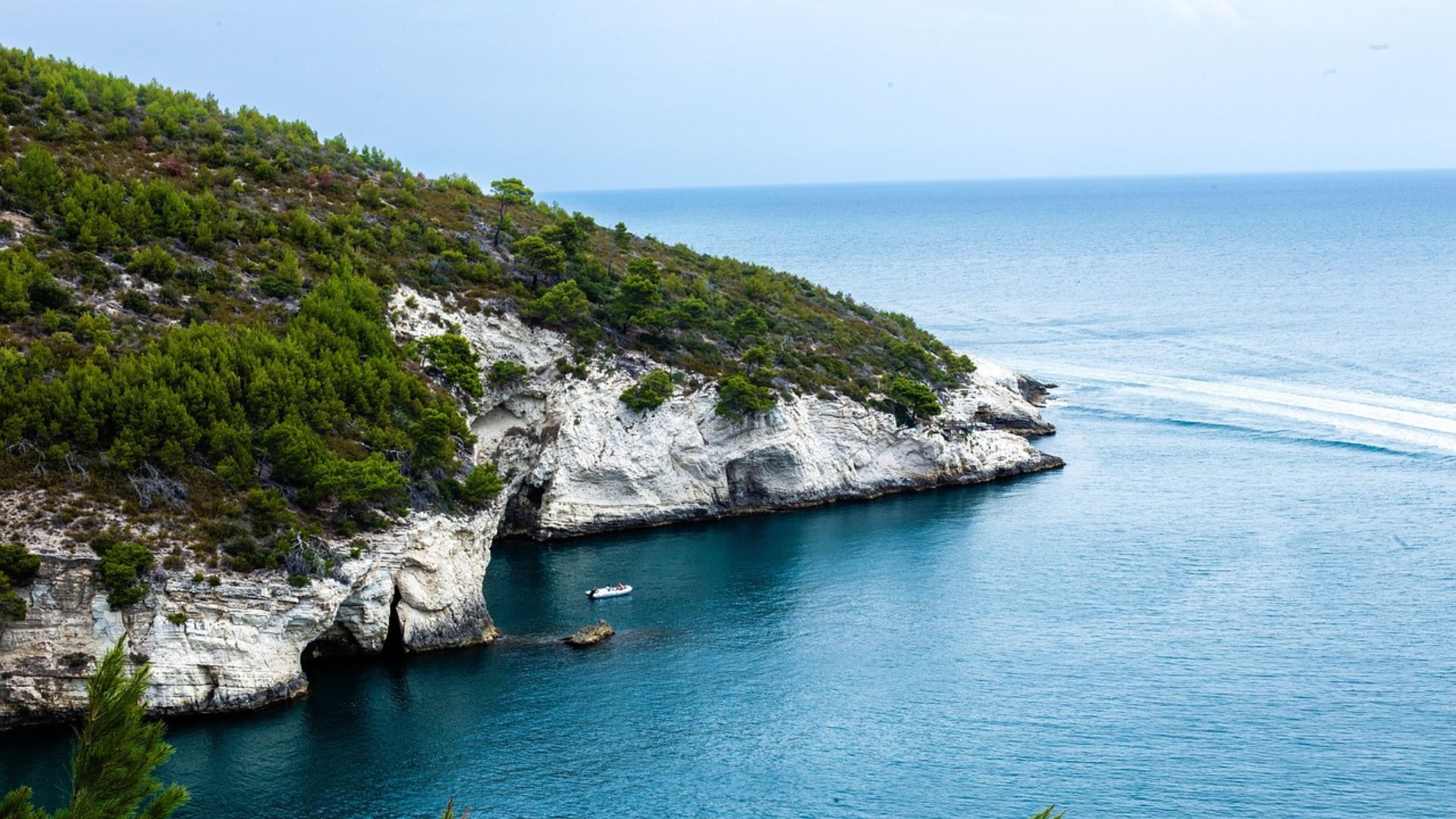 A coastal view of Gargano National Park featuring a rocky cliff with lush greenery, a small boat in the clear blue water, and the horizon of the sea under a light sky.