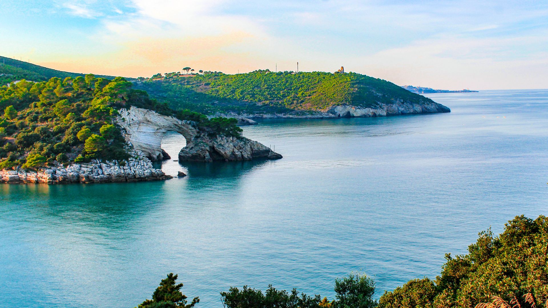 Image shows Gargano National Park, Italy. 
