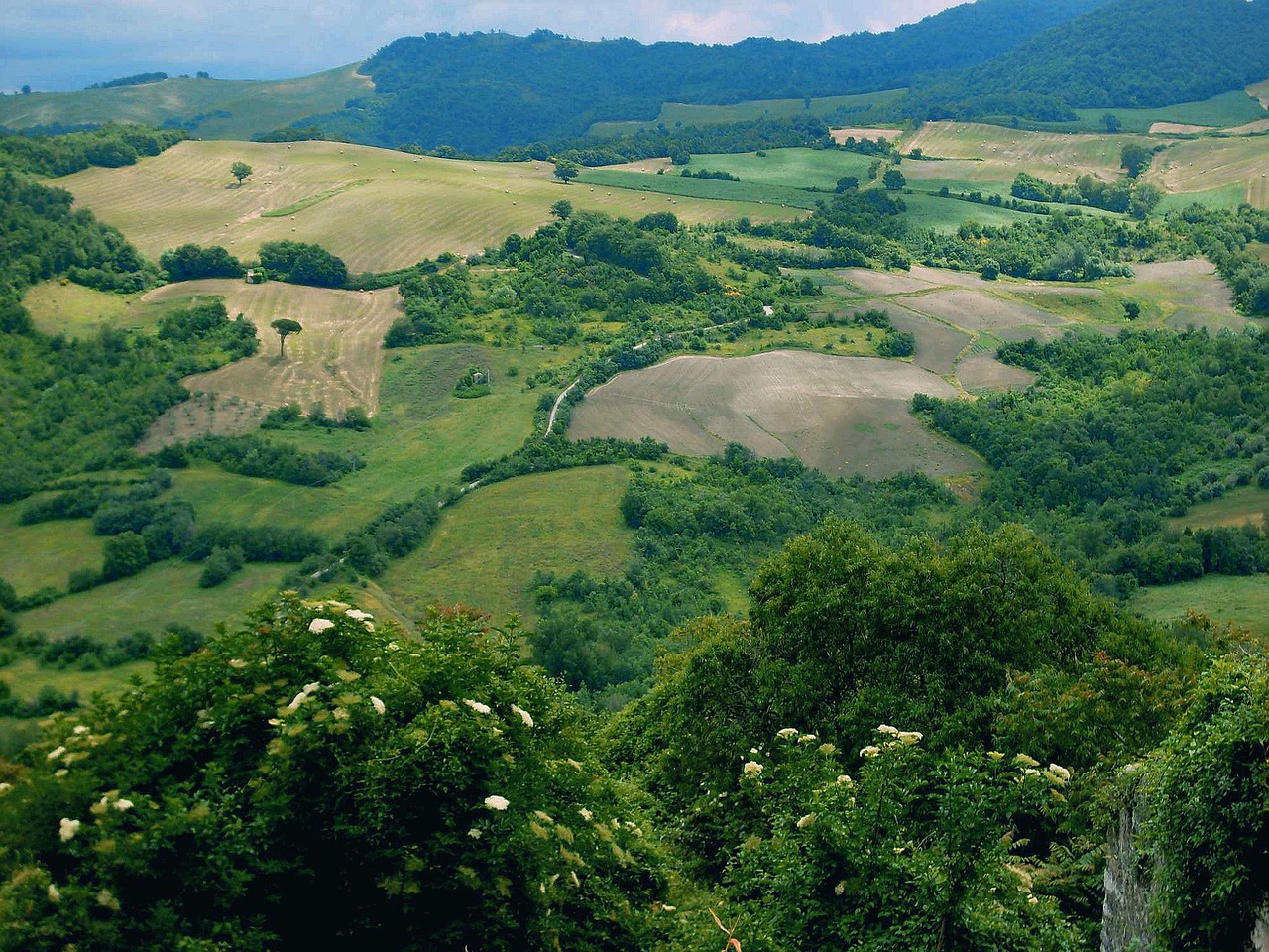 Rolling green hills - countryside in Italy