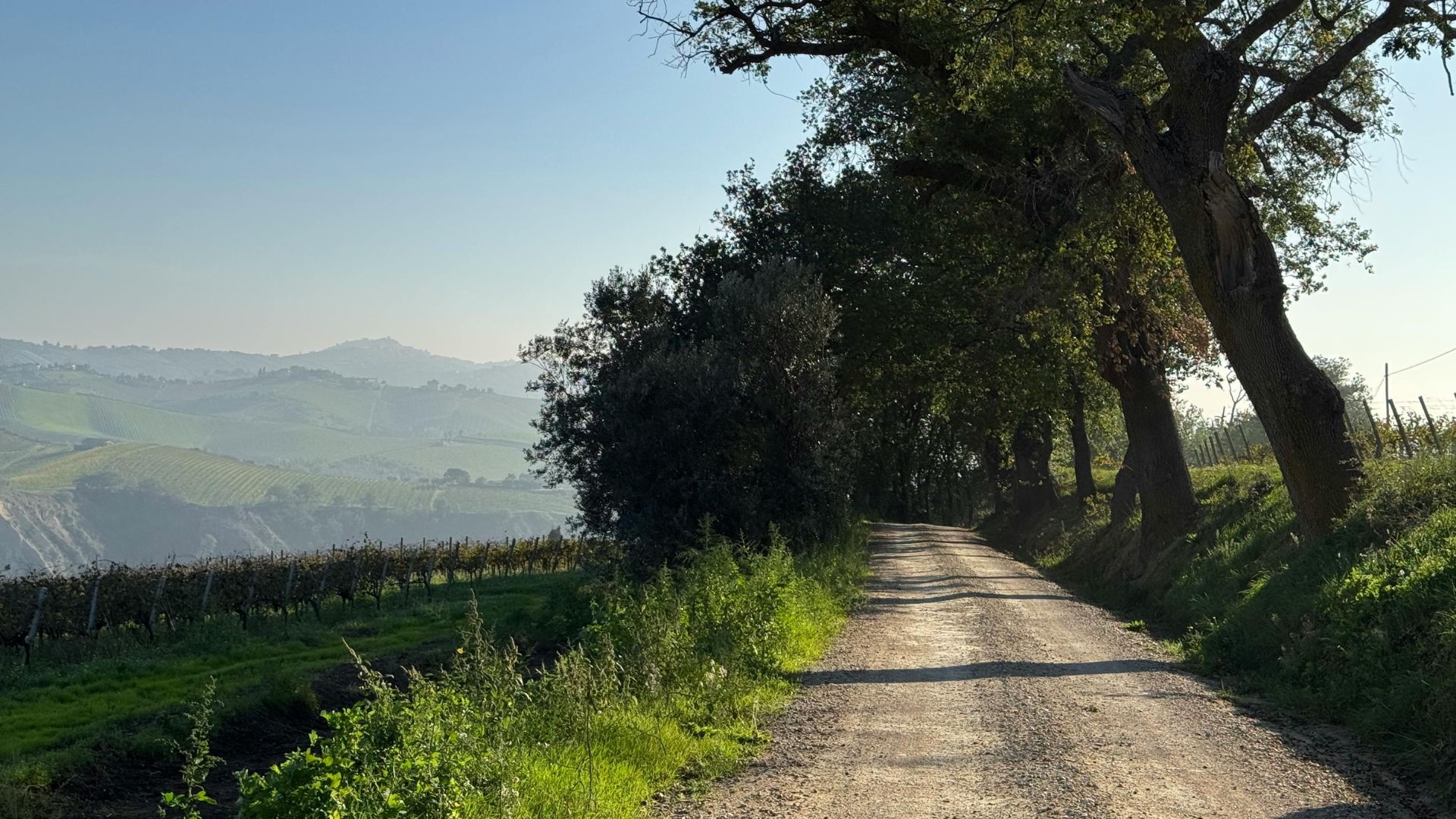 The image shows a dirt road in Le Marche, Italy