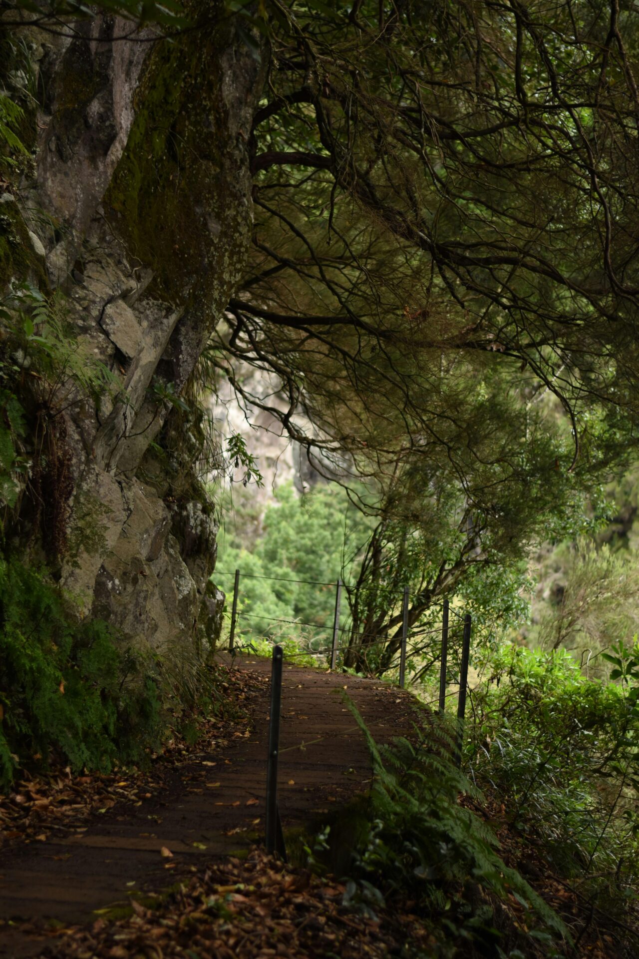 Levada do Caldeirão Verde