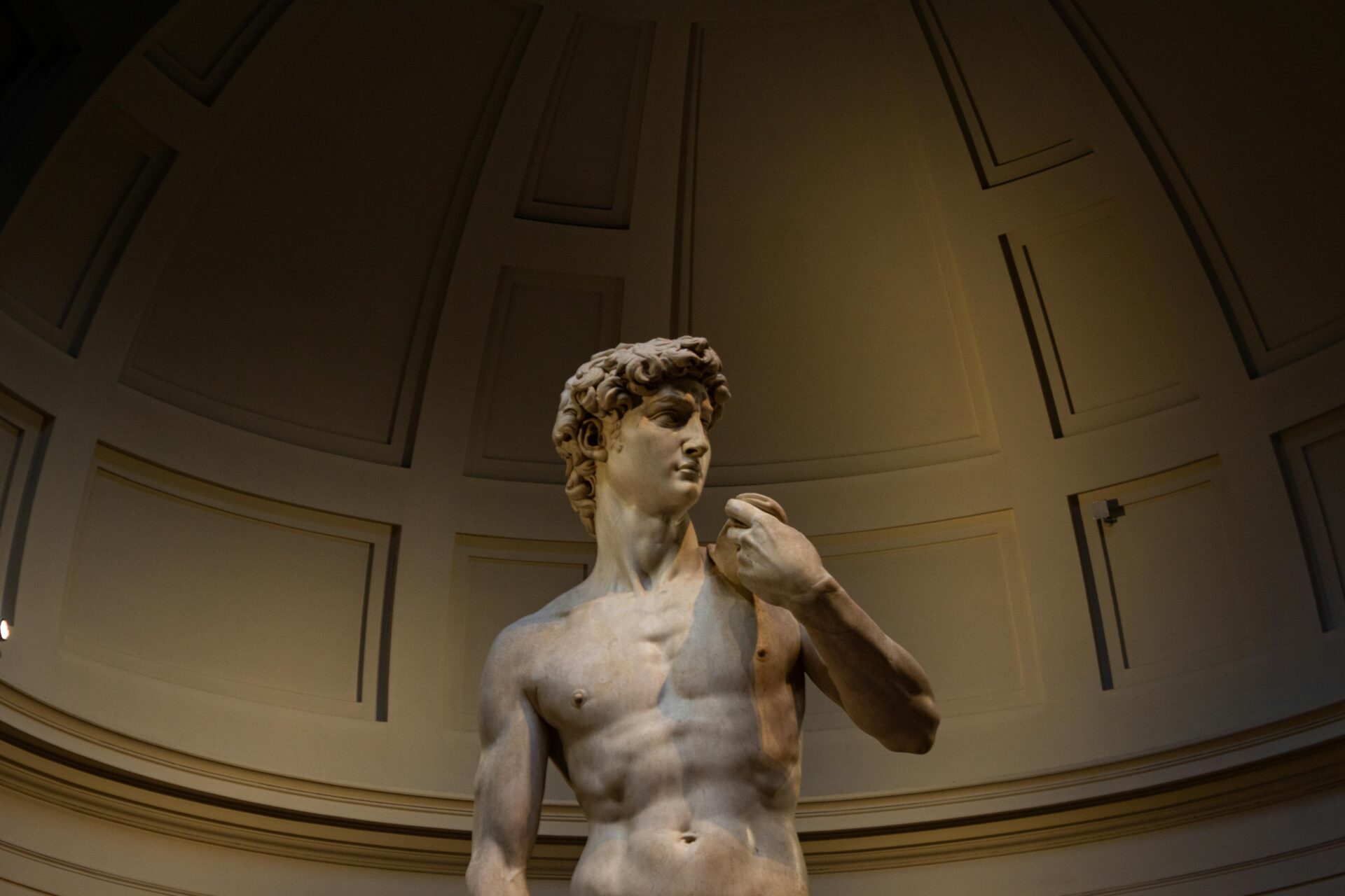 Michelangelo's David Statue at a museum in Florence