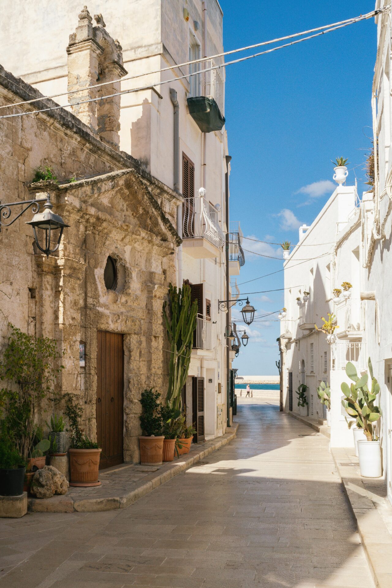 Charming cobblestone street in Monopoli, Italy, surrounded by historic white houses and potted plants