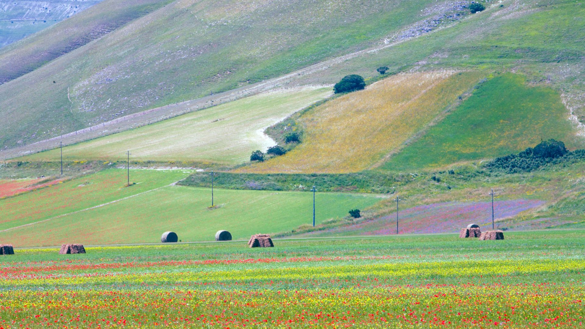 Image shows colorful Monti Sibillini National Park. 