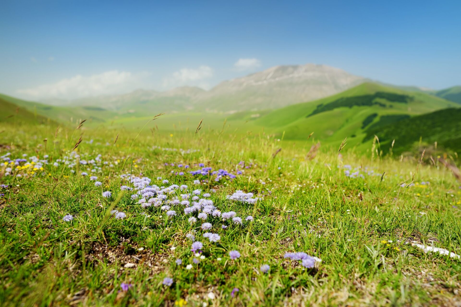 Monti Sibillini National Park