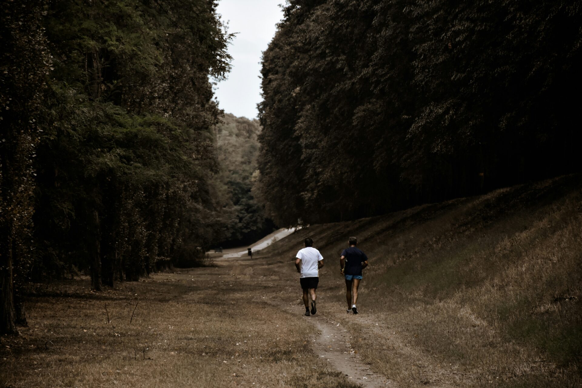 Nature landscape in Ferrara - jogging and walking path