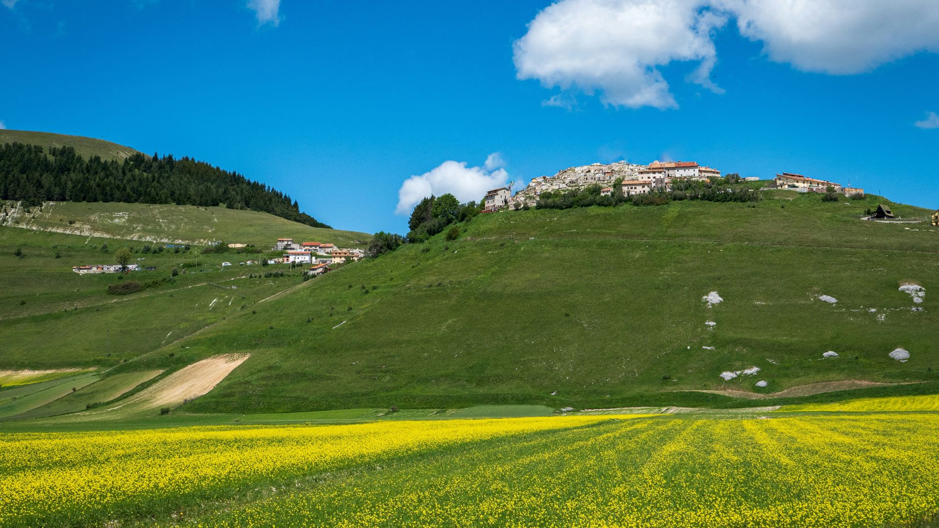 This view captures the scenic beauty of the Italian countryside, likely during the flowering season known as "fioritura," when the fields bloom with colorful flowers in Norcia, Italy.