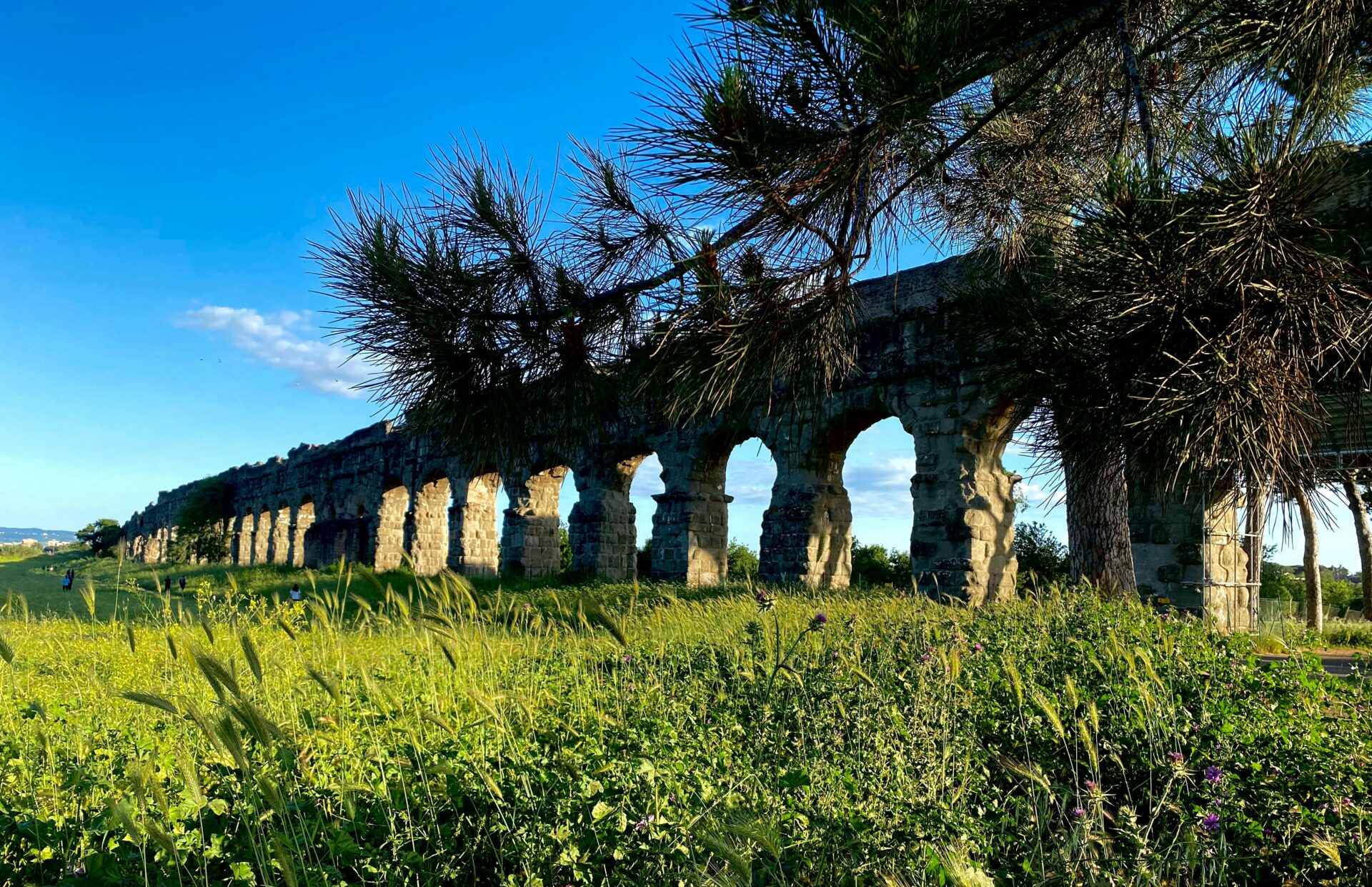 Parco degli Acquedotti - Aqueduct Park in Rome, Italy