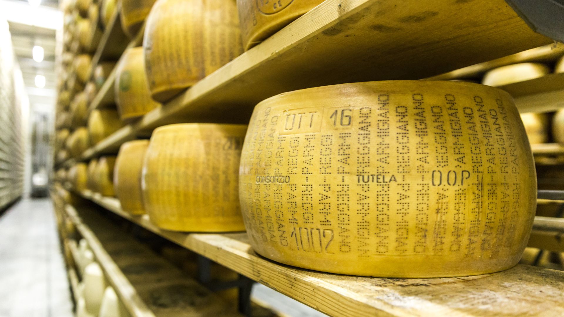 Close-up look of Parmigiano Reggiano cheese on a cellar.