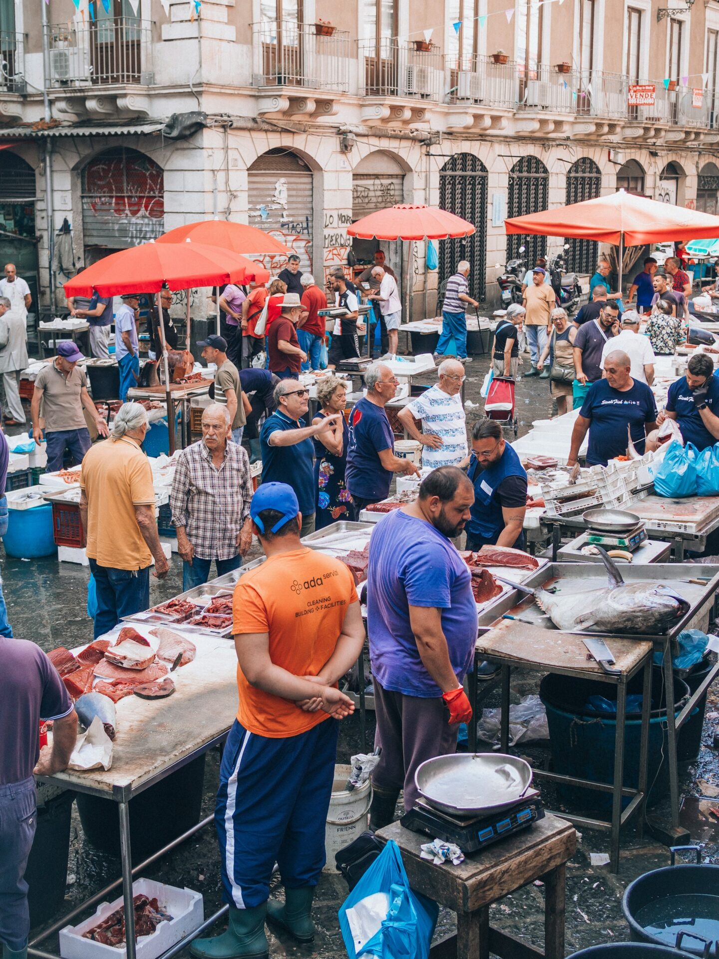Pescheria (fish market)