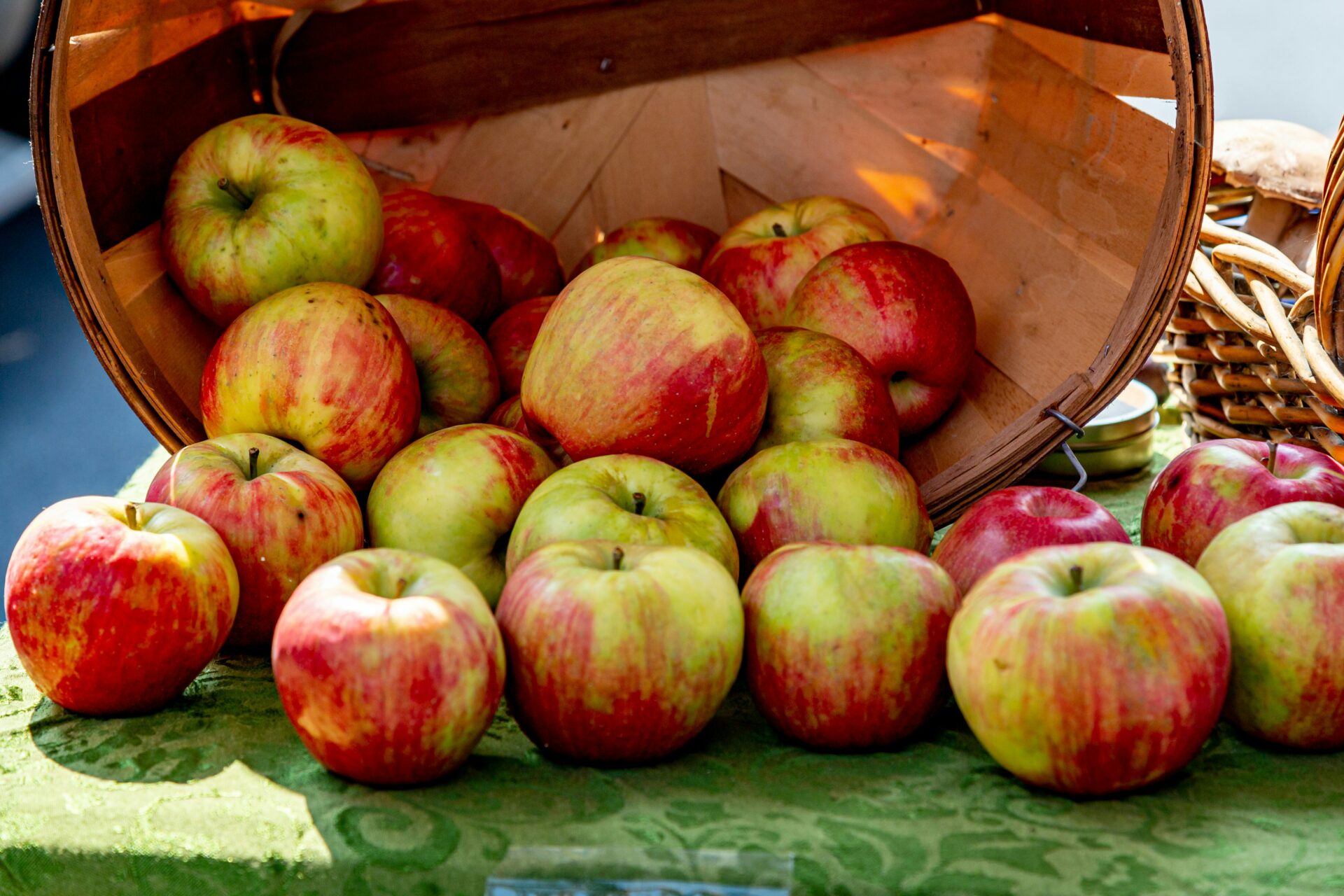 Picked apples from a basket