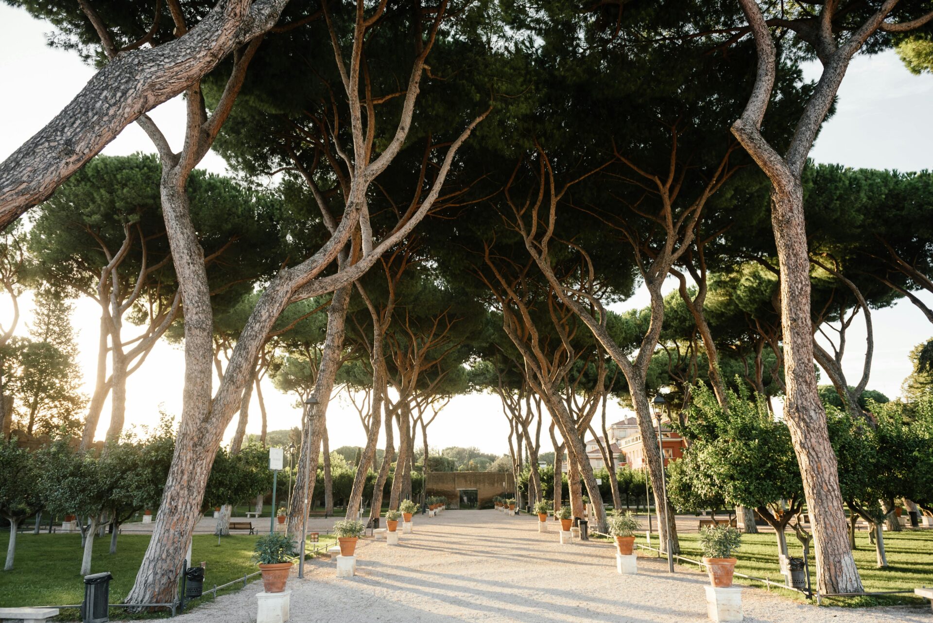 Rome Italy - Green Trees on an Empty Park