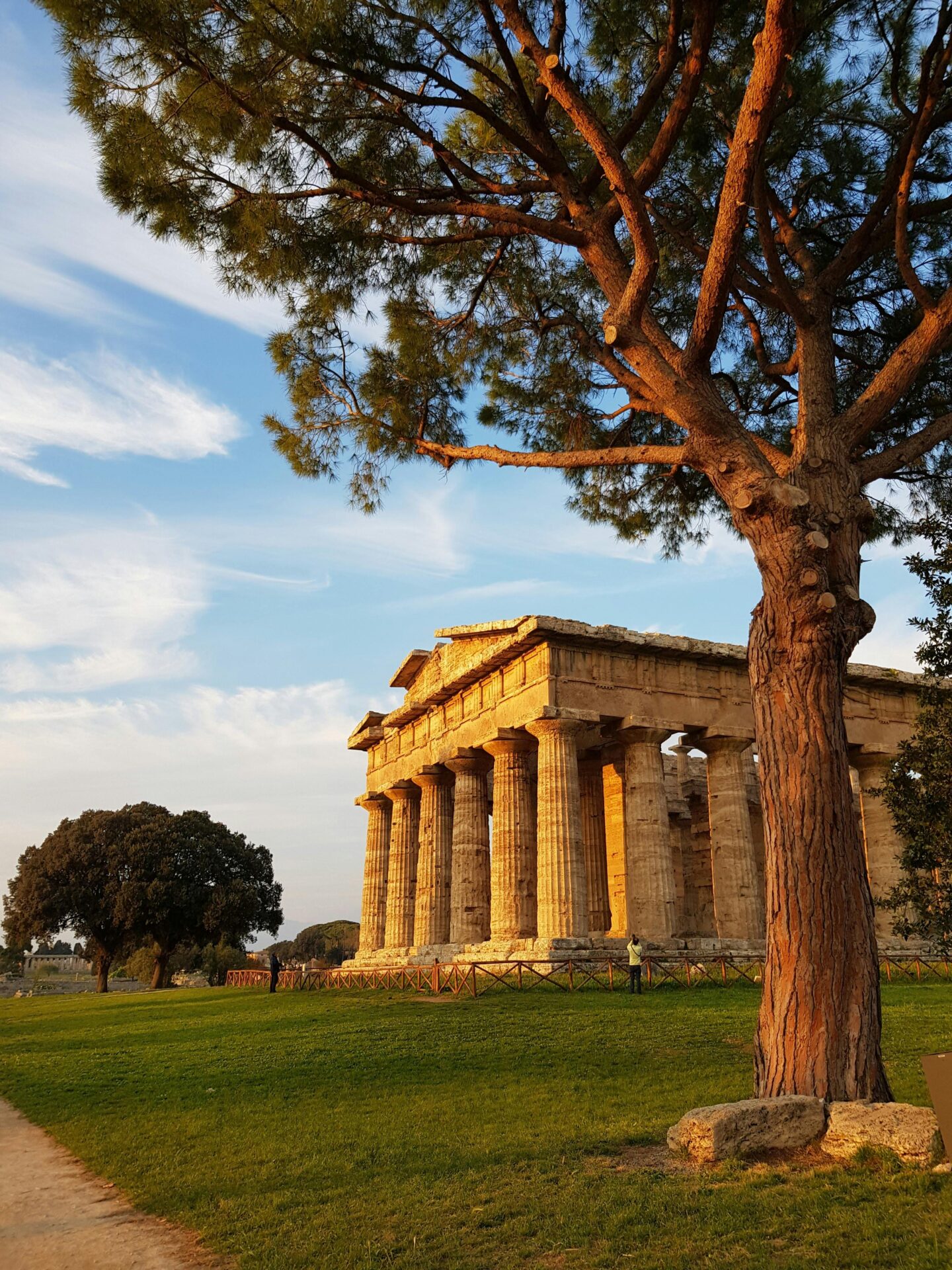 Historic Greek temple surrounded by grass and scattered stone ruins in Paestum