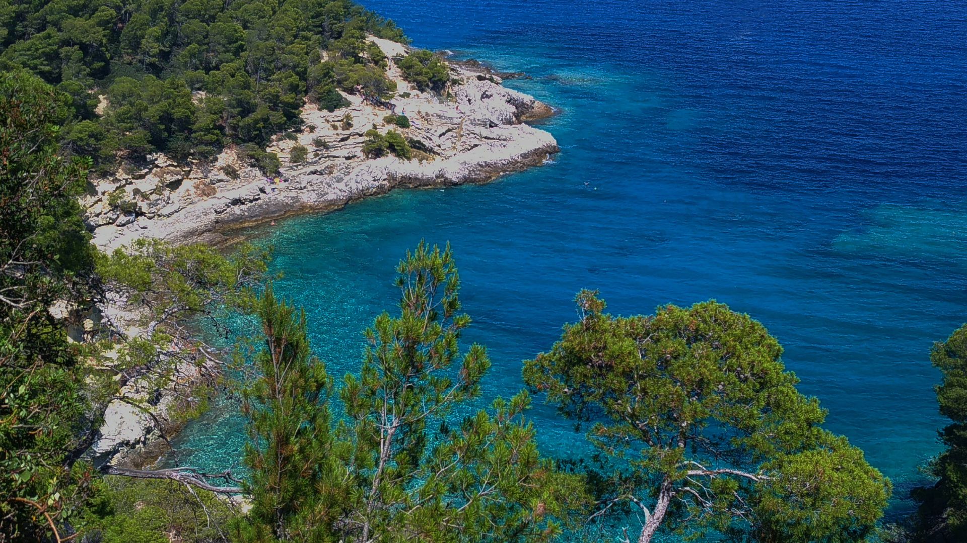 The image shows San Domino Island, which is part of the Tremiti archipelago in Italy. It is located in the Adriatic Sea, off the coast of the Gargano peninsula.